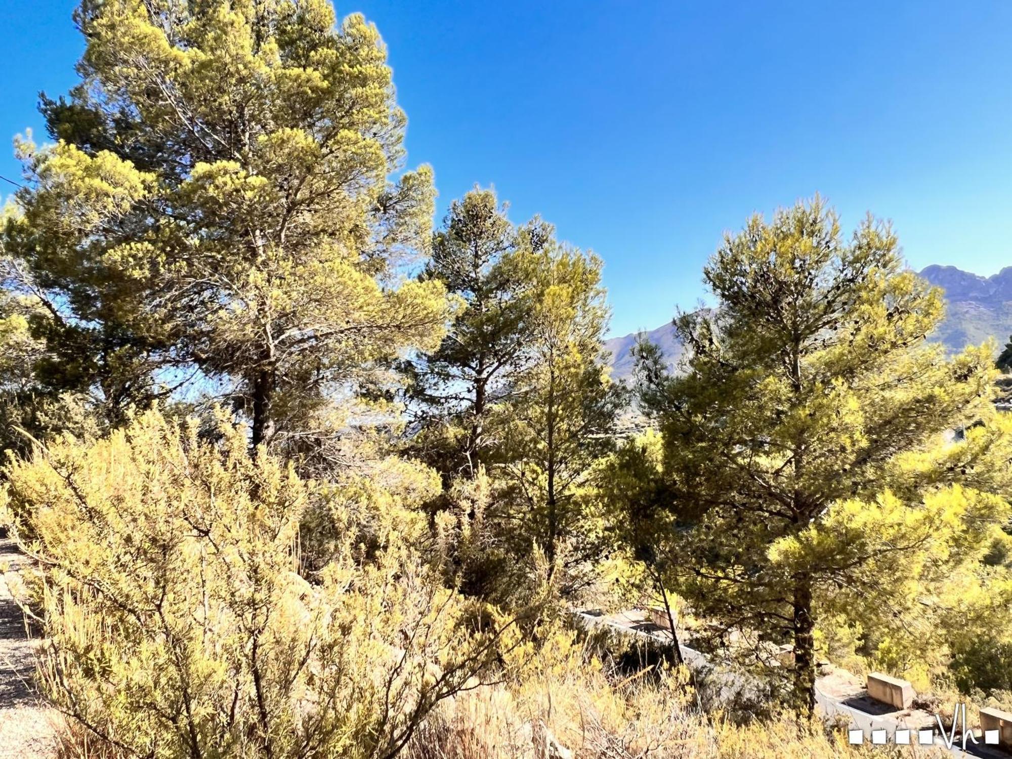 Vh Costablanca - Calima Villa Benissa Kültér fotó
